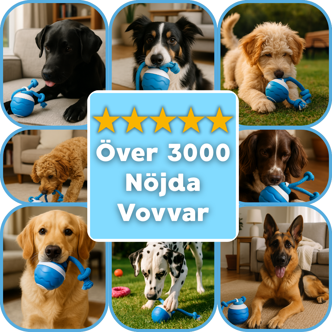 HallonBollen - Interaktiv Hund Leksak