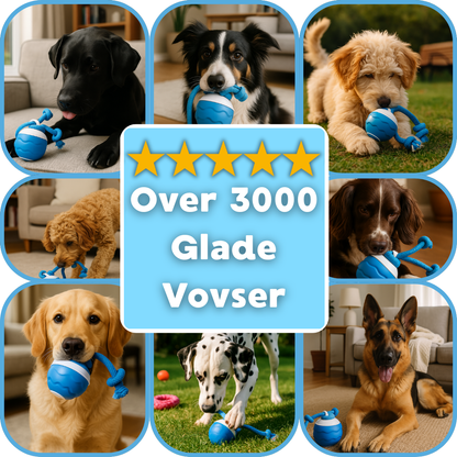 Hindbærbolden - Interaktiv Hundelegetøj